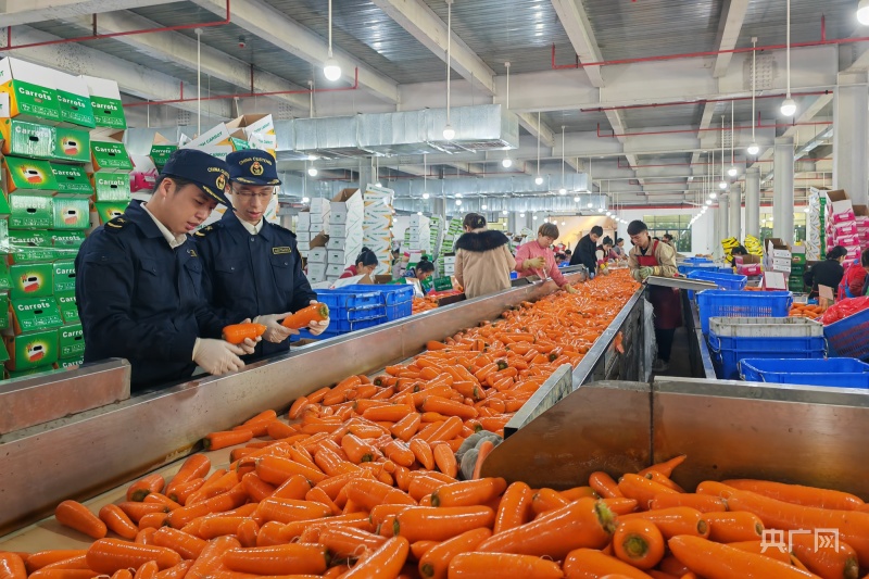 去年广东农产品进出口规模居全国首位